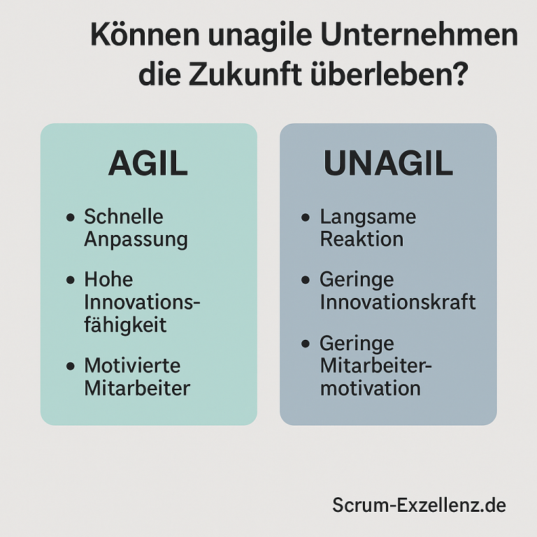 agile organisation scrum exzellenz.de adam m. skafi scrum coach agile coach berlin deutschland