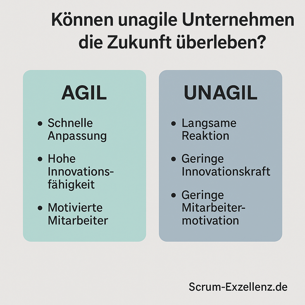 agile organisation scrum exzellenz.de adam m. skafi scrum coach agile coach berlin deutschland