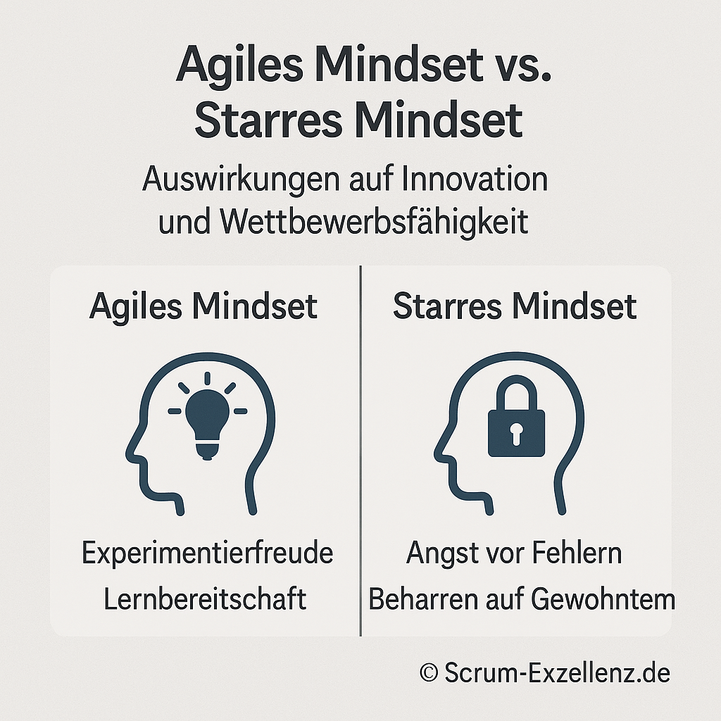 agilen vs starrem klassischen mindset adam m. skafi scrum exzellenz bester scrum master agile coach berlin